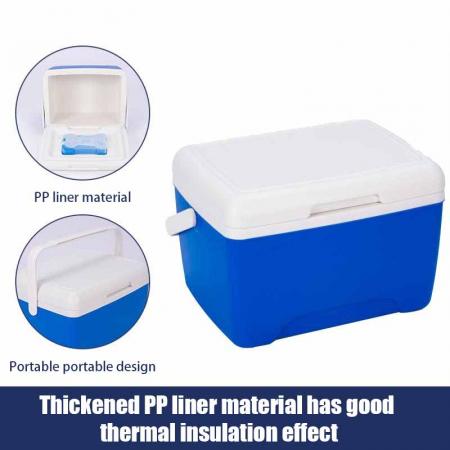 OEM ODM Plastic Hard Car กล่องคูลเลอร์แบบพกพา Small Outdoor PU Cooler Box for Picnic Camping Outdoor 8L 
