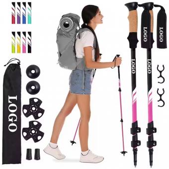 เสาเดินป่า